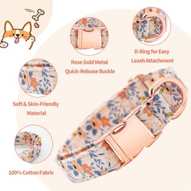 Dote on Dog Collar and Lead Set with Bow Tie, Girl Dog Collar with Detachable Flower with Strong Gold Buckle, Adjustable Soft Padded Pet Collar for Small Medium Large Dogs(Orange,XS)