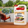Spectracide Spectracide Weed & Grass Killer2, Ready-to-Use, 1-Gallon, Pack of