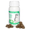 RUILAND Cofactor Suplemento Multivitamínico para Perros