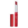 Labial En Barra Mate Colorfix 24h De Esika