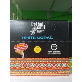 Hari Darshan Backflow Cones White Copal 12 x 10 Units