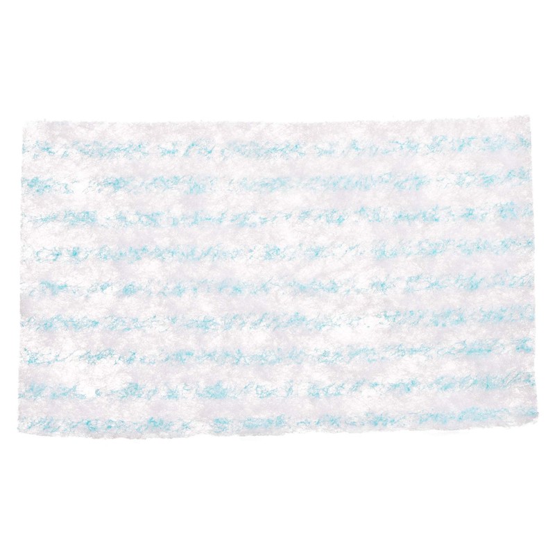 Begobaño Sponge with Soap 24 Units