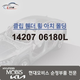 Hyundai Mobis Clip Fender Wheel Arch Molding 14207 06180L / 클립 휀더 휠 아치 몰딩 14207 06180L