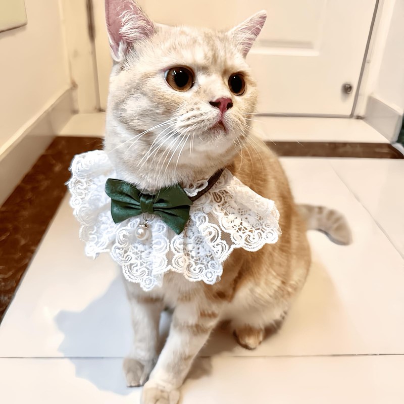 Bonito collar de gato con lazo para gatos y perros