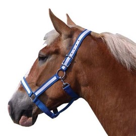 Intrepid International 1-1/2" Poly Draft Horse Halter with White Overlay - Blue/White