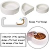 Reptile Food Water Bowl Set Lizard Feeder Ceramics Bowls Worm