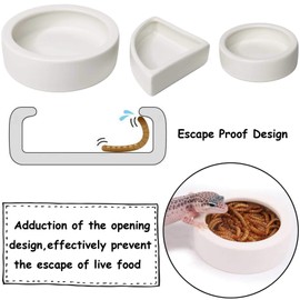 Reptile Food Water Bowl Set Lizard Feeder Ceramics Bowls Worm Live Fodder Container for Bearded Dragon Chameleon Lizard Hermit Crab Gecko Tortoise Spider Pet 3 Pieces