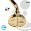 Tecuro Nostalgie – 1-Jet Hand Shower Gold Metal Design