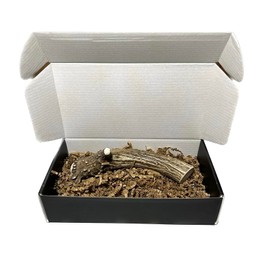 The Antler Box Premium Deer Antler Dog Chews (1 Piece Box) (X-Large 6-8Oz)