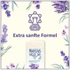 Le Petit Marseillais Shower Cream (250 ml), Lavender from the