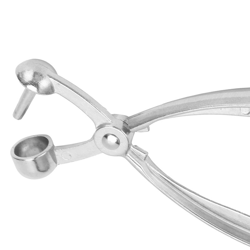 Olive Pitter Small and Lightweight Cherry Pitter Tool for Nuclear