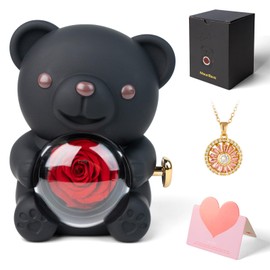 mountova Cute Teddy Bear with Preserved Rose and Necklace, Romantic Bear Roses Gifts with Jewellery Storage for Women, Girlfriend, Wife, Valentines Day Gift, Forever Eternal Rose Flower Decor, Black
