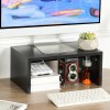 TEAMIX Higher Monitor Stand Riser for Desk Small Monitor Stand