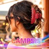 Campsis Pinzas acrílicas para el cabello con forma de garra,