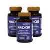 NAD con Resveratrol, Quercetina y Vitamina C Suplemento Alimenticio en