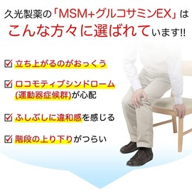 久光 MSM + Glucosamine EX