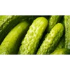 Best Maid Dill Pickle 5 Gallons | Foodservice Bulk |