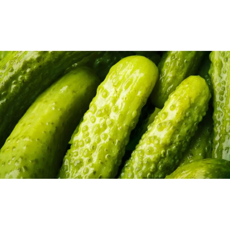 Best Maid Dill Pickle 5 Gallons | Foodservice Bulk |