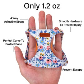 CHEDE No Pull Floral Pattern Dog Harness- Lightweight and Soft Dog Harness, Adjustable Small Dog Harness and Leash Set, with Dog Leash, Suitable for Puppy Small and Medium-Sized Dog (XS, Blue Rose)