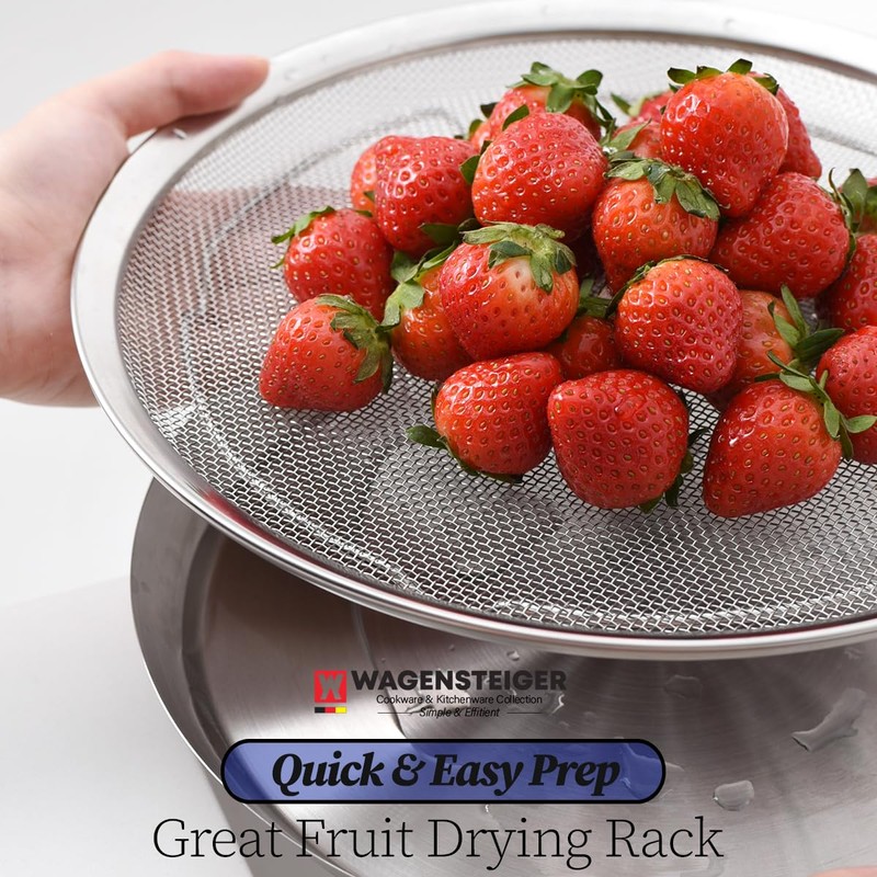 WAGENSTEIGER Stainless Steel Mesh Tray Set with Drip Pan, Air
