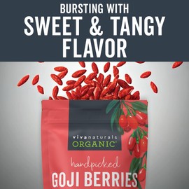 Organic Dried Goji Berries, 1 lb Non-GMO and Vegan Organic Berries, Dried Berries Perfect for Goji Berry Powder, Tea, Smoothies, Baking and Snacks, Goji Berries Organic Dried (454 g)