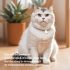 4 Pieces Cute Cat Collar,Cat Breakaway Collar with Anti-Suffocation Buckle,Adjustable