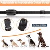 Petworthy PD 519 Dog Shock Collar with Remote 3300ft Dog