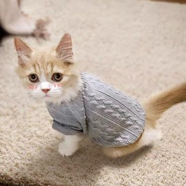 Winmany Small Medium Dogs Sweater Cat Winter Turtleneck Clothes Chihuahua Yorkie Puppy Solid Color Outfit (Grey, M)