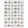 Okina Paris Seal PS153 Fish Seal, 192 Pieces