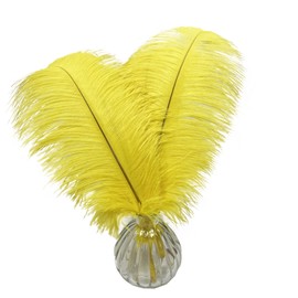 HAPPY FEATHER 16-18 inch Yellow Ostrich Feathers Craft for Wedding Party Centerpieces Home Decoration DIY Craft Pack of 10