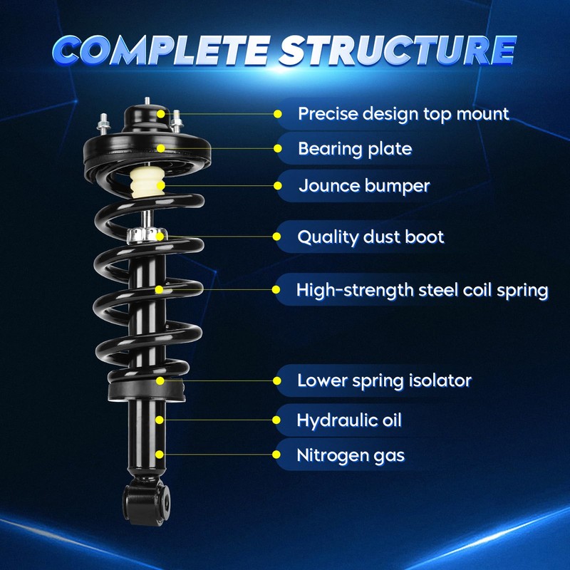 Rear Strut Shock Assembly w/Coil Spring for Ford Expedition/Lincoln Navigator