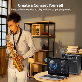 POGOLAB UHF Wireless Saxophone Microphone System, Rechargeable Mic Pickup System with Storage Case, 164 Feet Range, Clip-On Transmitter with Treble/Bass/Middle Adjustment, for Most Brass Instruments