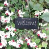 Woohome Mini Blackboard Set