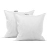 Pillowtex Set of 2 White Duck Feather & Down Pillow