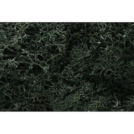 Woodland Scenics Lichen GRN, Dark Green