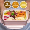 LOVINA Bento Boxes for Adults - 1100 ML Bento Lunch