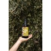 Dave's Gourmet Dave's Gourmet Organic Hojiblanca Extra Virgin Olive Oil,