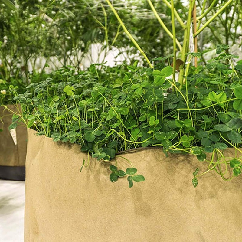 5 Gallon Grassroots Living Soil Pot