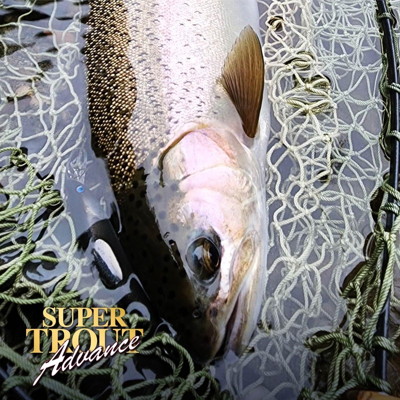 VARIVAS (バリバス) Nylon Line VARIVAS Super Trout Advance 100m 0.5号