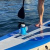 Alnicov Drink Holder for Paddleboard Paddle Board Accessories for Stand