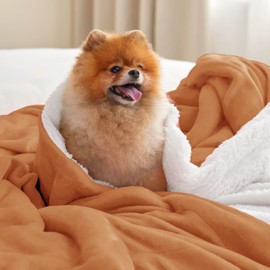 Bedsure Sherpa Fleece Blankets Queen Size for Bed - Thick and Warm, Soft Fuzzy Plush Queen Blanket for Winter, Burnt Orange, 90x90 Inches