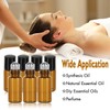 ZEJIA 3ml Roller Bottles 12Pack Amber Thick Glass Essential Oil