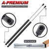 A-premium Tailgate Rear Hatch Lift Supports Shock Struts Replacement for