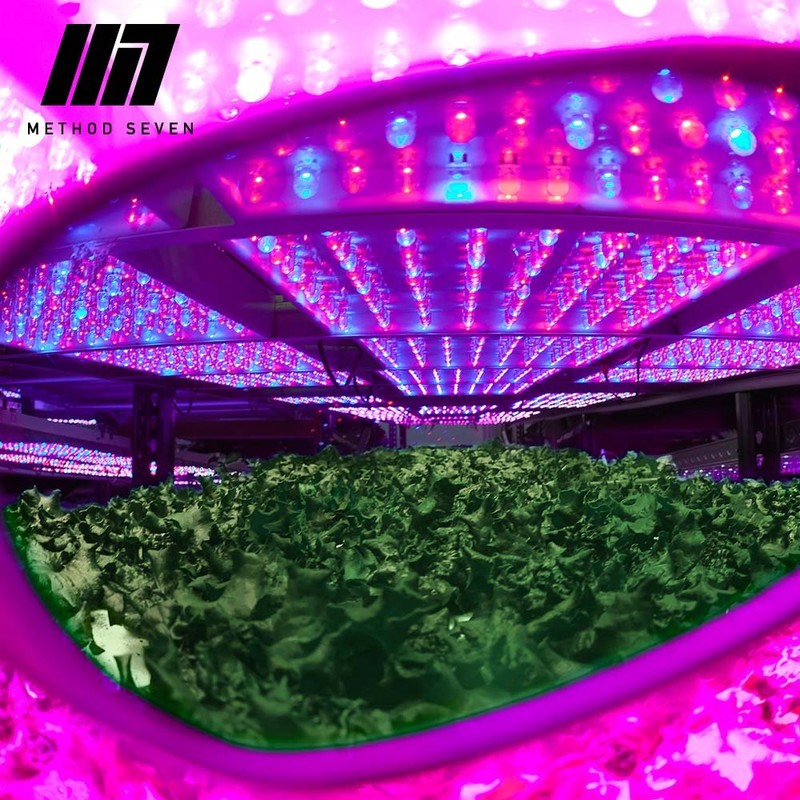 Method Seven Classic Blurple LED Clip-On Grow Room Glasses