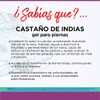 GEL CASTAÑO DE INDIAS 400 GRAMOS TECNONATURA