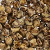John Bead - abalorio de hoja de ginko checo mate,