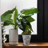 Dog Flower Pot with Saying "Du bist toll Hundemensch Aussie