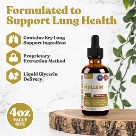 Rejuvica Health Active Mullein – Lung Support Supplement - 4 fl oz Value Size Liquid Extract