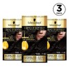 Schwarzkopf Oleo Intense Black Hair Dye, 3-Pack Permanent Oil Colour,