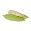 Corn Country Gentleman White Great Heirloom Vegetable by Seed Kingdom